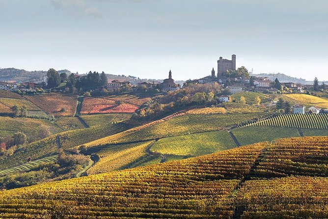 Private Langhe and Barolo Wine Tour from Milan - What You Really Learn About Langhe Wine Production