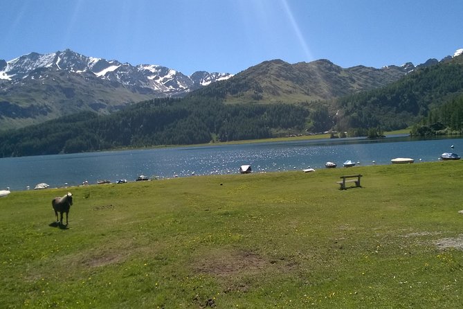 Private tour to Bernina train & Lake Como. Hotel pick-up - St. Moritz at 1,856 meters: a short visit that still counts