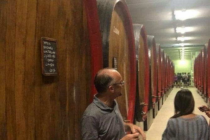 Private Wine Tour: Terraced Vineyards with Alpine view from Milan - A Private Milan Wine Day With Alpine Vistas