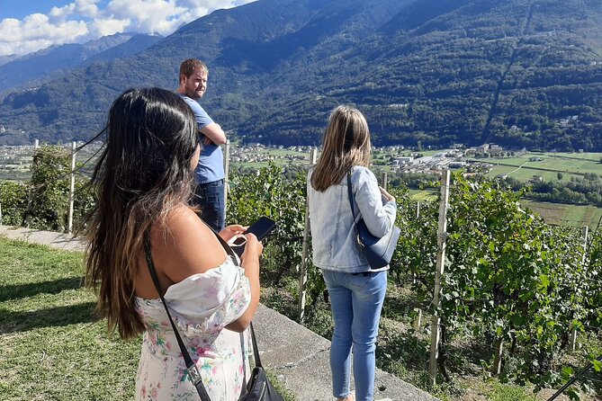 Private Wine Tour: Terraced Vineyards with Alpine view from Milan - Morbegno Stop: Underground Natural Cellars and a Family Shop
