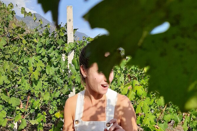 Private Wine Tour: Terraced Vineyards with Alpine view from Milan - First Winery Visit: What the Guide Brings to Your Tasting