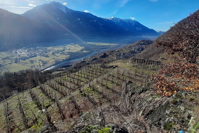 Private Wine Tour: Terraced Vineyards with Alpine view from Milan - Lunch in Valtellina: Plan for the Costs and the Wine Timing