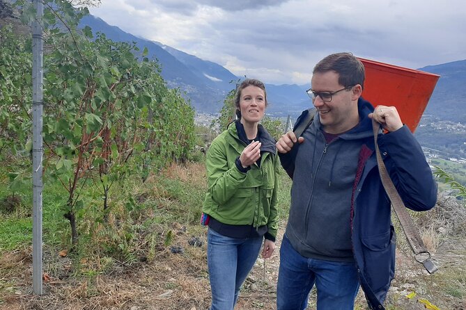 Private Wine Tour: Terraced Vineyards with Alpine view from Milan - Second Winery Visit and the Terraced View Moment