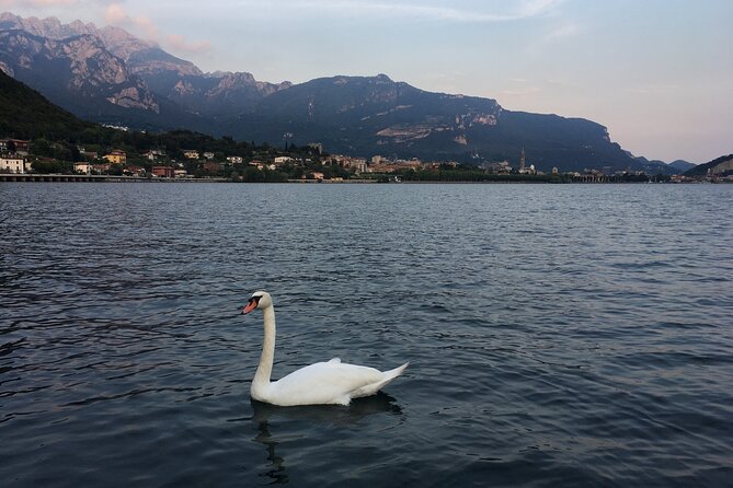 Sailing at Sunset on Lake Como: How to escape from daily routine - Stop 3: Il Lungolago Time for Lakeside Atmosphere