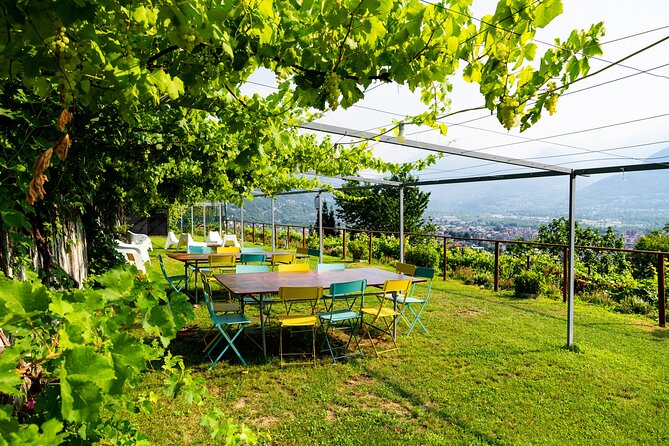 Savor Ossola Wines & Local Treats in a Scenic Vineyard - Vines, Stories, and the Winery Walk That Adds Meaning