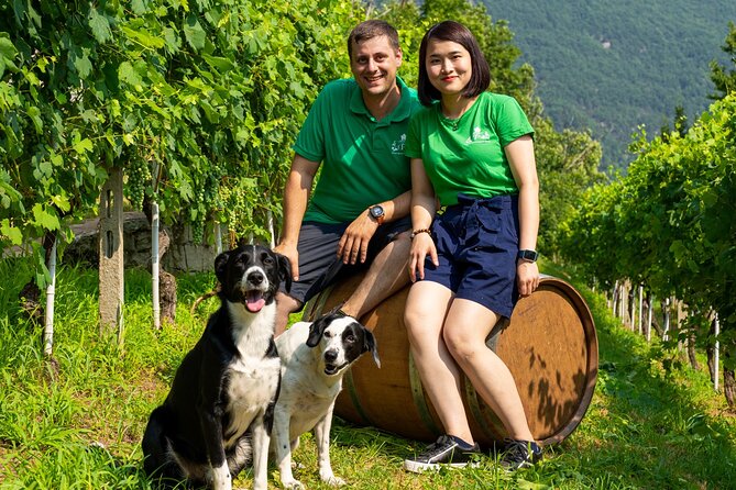 Savor Ossola Wines & Local Treats in a Scenic Vineyard - Family-Friendly Option With Non-Alcoholic Tasting