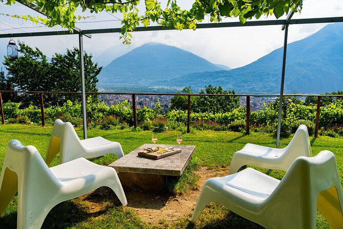Savor Ossola Wines & Local Treats in a Scenic Vineyard - The Tasting: 3 Ossola Wines With Real-World Pairing