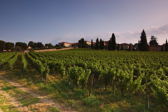 Self-guided Wine tour in Franciacorta, Full-Day Experience with Lunch - Why Franciacorta is a smart choice for a wine day