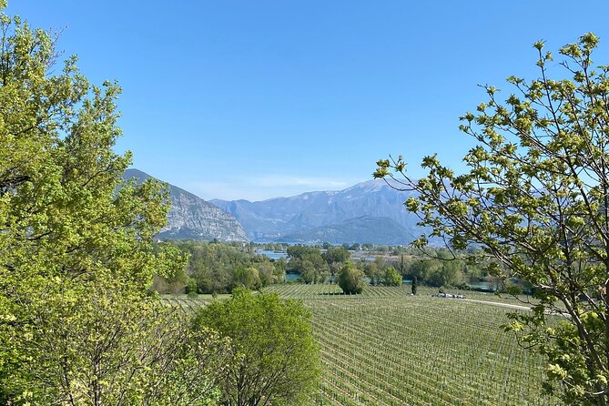 Self-guided Wine tour in Franciacorta, Full-Day Experience with Lunch - Stop 3 in Passirano: the small family-run winery vibe