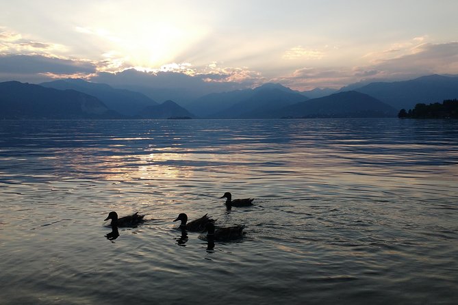 Slow boat tour for small groups with appetizer on Lake Maggiore - Why a slow private boat on Lake Maggiore feels calmer than land sightseeing