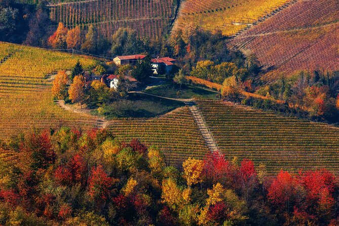 Small-Group Barolo Wine Tasting, Alba & UNESCO Piedmont Hills - What You Actually Taste: Building Confidence With Every Pour