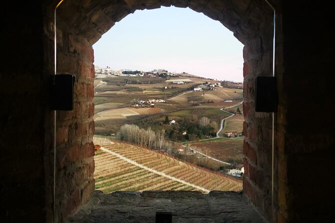 Small-Group Barolo Wine Tasting, Alba & UNESCO Piedmont Hills - Castello di Grinzane Cavour: UNESCO Views and the Barolo Connection