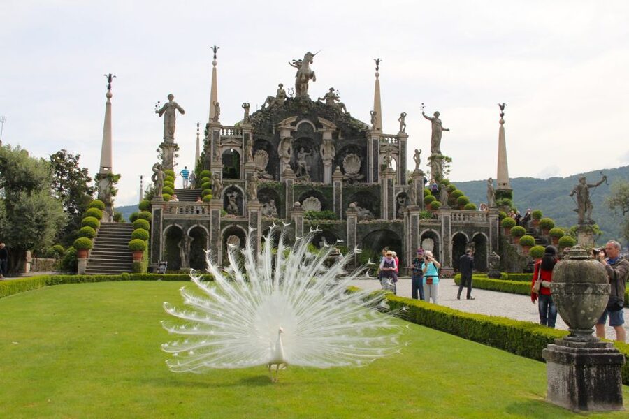 Stresa: 3 Borromean Islands Boat Tour - Isola Madre gardens: plant lovers’ time capsule