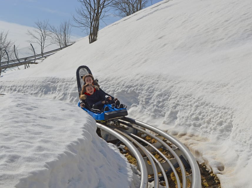 Stresa: Alpyland Alpine Coaster Ride on Mount Mottarone - Alpyland is not your typical coaster, it is speed control with scenery