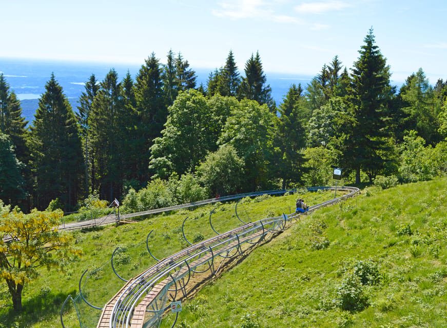 Stresa: Alpyland Alpine Coaster Ride on Mount Mottarone - Price, value, and the real total cost you should plan for