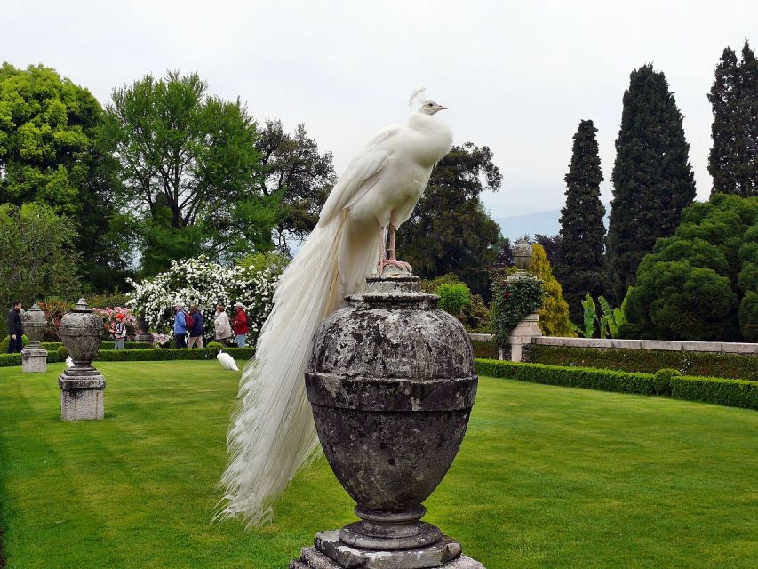 Stresa: Madre & Bella Borromean Islands Boat Trip - Meeting the boat at Stresa without stress