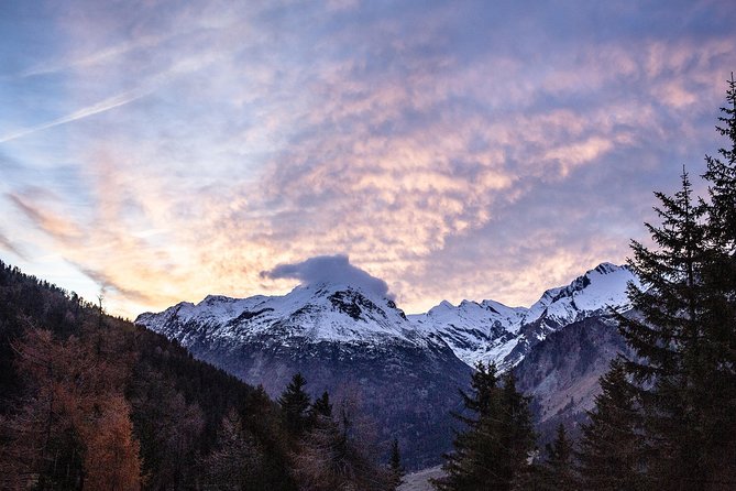 Swiss Alps Bernina Red Train and St.Moritz Tour from Milan - Price Value at $179.82, and When It Makes Sense
