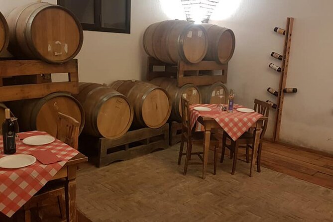 Tasting of 4 Valtenesi wines with local food in Salò - Lake Garda on the pour, why this Valtenesi tasting feels different