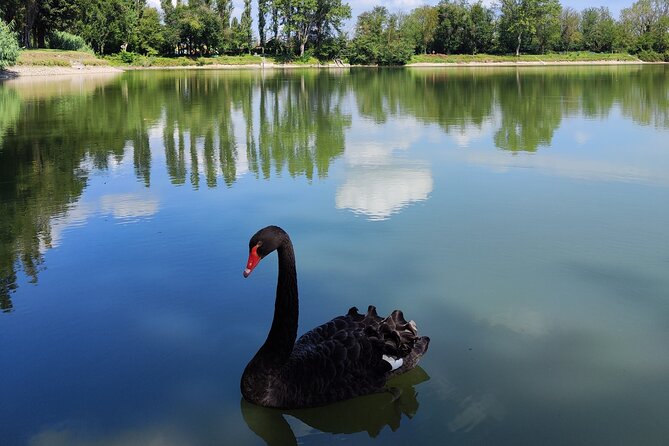 The Milan you don't expect, bike tour with picnic on the lake - Quick highlights
