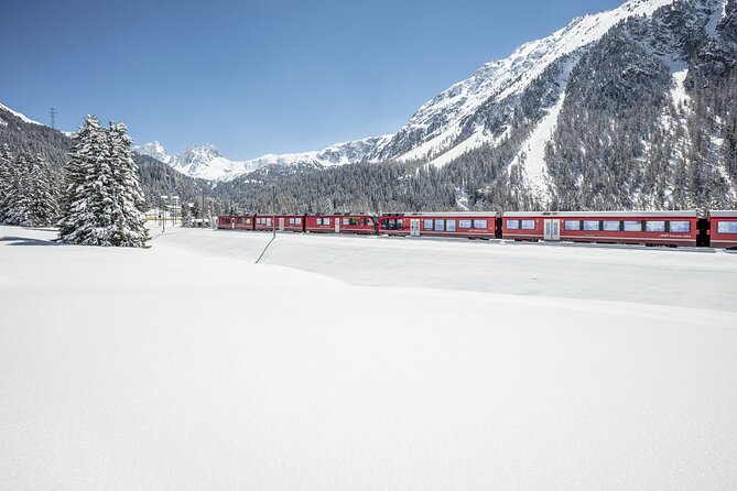 Tour Bernina Red Train And St Moritz from Milan - Small practical tips that make the day smoother