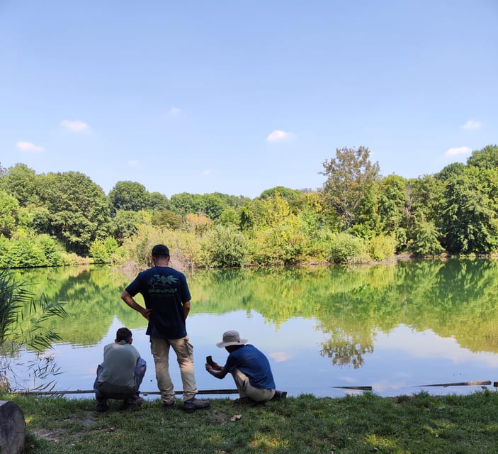 Trekking in the Wood with picnic on the turtles lake - The turtles-lake picnic, why 20 minutes feels perfect