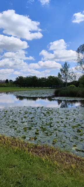 Trekking in the Wood with picnic on the turtles lake - English guide time, what to expect from the way it runs