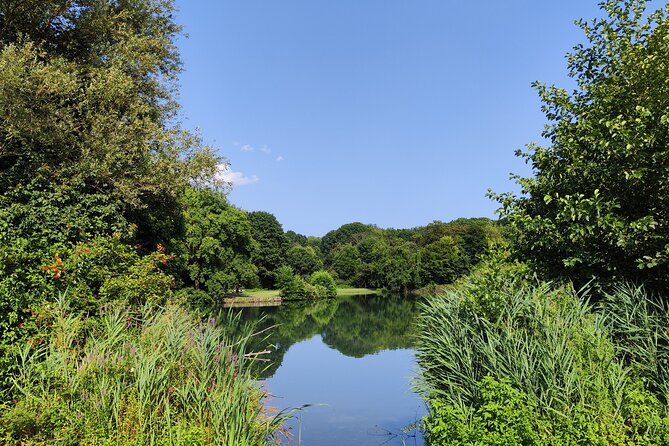 Trekking in the Wood with picnic on the turtles lake - How to get there from anywhere in Milan, and what to bring