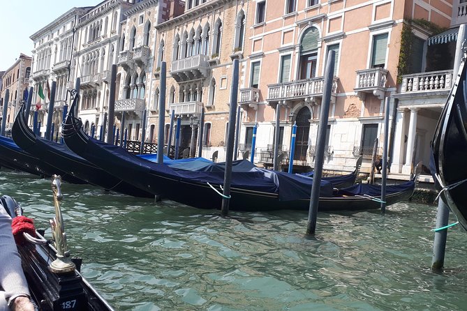 Venice Full Day tour from Milan by high speed train. Small Group - Piazza San Marco: the real focus, not a quick photo sprint