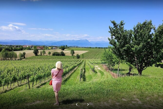 Vineyard Tour and Tasting of Lugana Wines - A Small-Group Lugana Tasting at Cantina Ceresa in Pozzolengo
