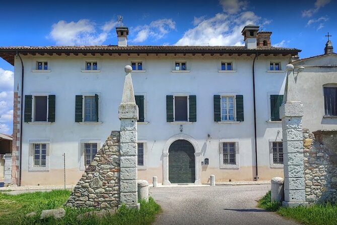 Vineyard Tour and Tasting of Lugana Wines - Inside the Cellar: Production Methods, Family History, and Vinification