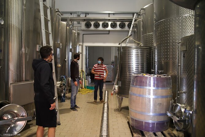 Vineyard Tour and Tasting of Lugana Wines - The 3:00 PM Schedule and the Reality of a 1.5-Hour Visit