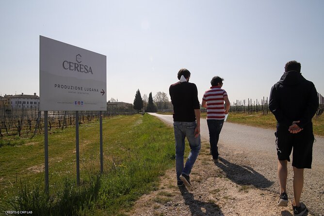 Vineyard Tour and Tasting of Lugana Wines - Who This Lugana Wine Tour Is Best For