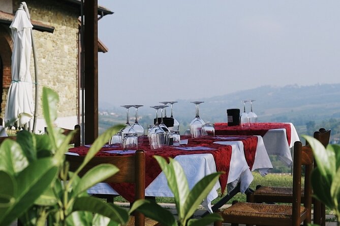 Visit winery and vineyards, tasting 4 wines with 3 matching dishes - Key highlights worth planning for