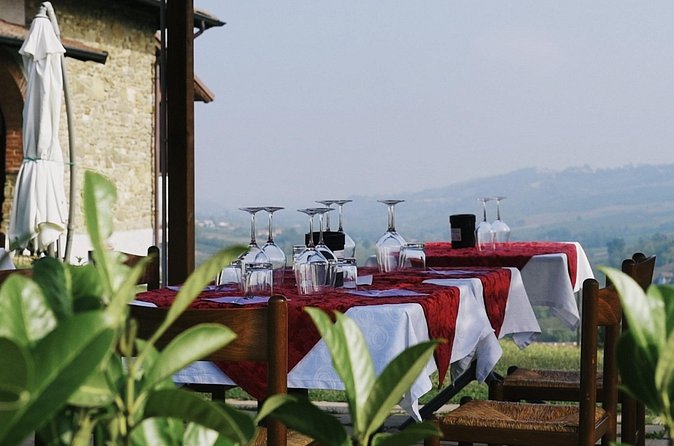 Visit winery and vineyards, tasting 4 wines with 3 matching dishes - Small group size and English guidance, practical impact