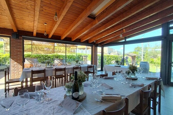 Visit winery and vineyards, tasting 4 wines with 3 matching dishes - Who should book this Oltrepò Pavese wine and vineyard tour