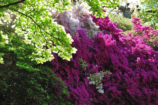 Walking tour with a private tour guide in the botanical gardens of Villa Taranto - Getting there and using the location to your advantage