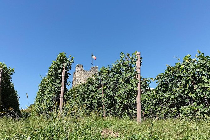 Wine and Food tasting PRIVATE Guided Tour - Why Valtellina Tastes Better Than Most Lake Como Day Trips