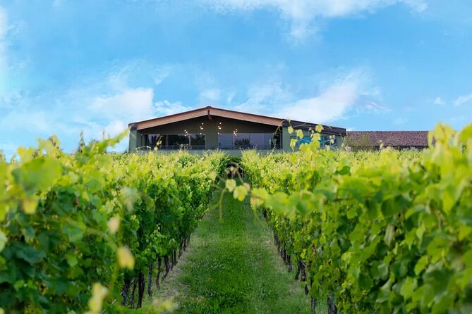 Wine Tour and Tasting of Lugana Wines in Desenzano - Inside the cellars: sustainability as more than a buzzword
