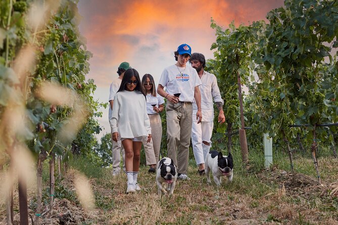 Wine Tour and Tasting of Lugana Wines in Desenzano - Sparkling wine quarries: the cool factor you can feel